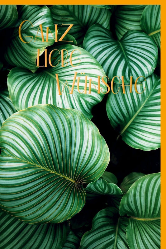 All - Occasion Grußkarte mit Pflanzenmotiv – Modernes, natürliches Design für stilvolle Grüße, SchreibwarenPapeterie