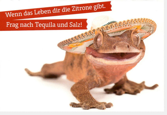 Aufmunterungskarte "Zitronen des Lebens" – Humorvolle Ermutigung mit Tequila & Salz Motiv für Freunde