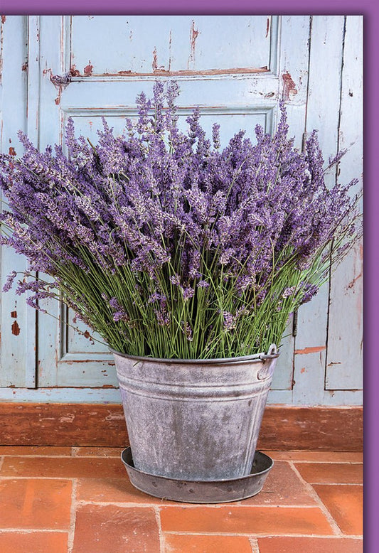 Blanko Grußkarte Blumen – Lavendel im Vintage - Eimer vor blauer Holztür