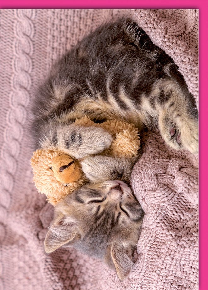 Blanko - Karte Tiere – Schlafendes Kätzchen mit Teddybär auf Strickdecke in Rosa
