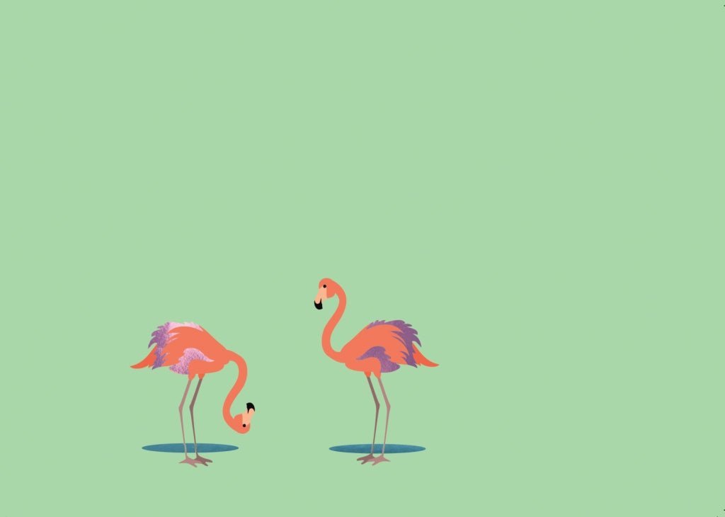 Blanko - Postkarte mit Flamingos – Elegante Grüße für jeden Anlass