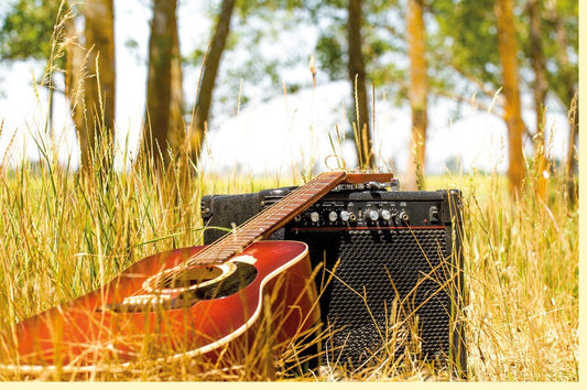 Blankokarte für Musiker: Sommerliches Feld mit Gitarre, Sonnenuntergangs - Motiv, Geschenk für Natur - & Musikliebhaber