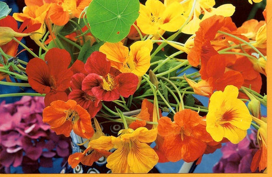 Blankokarte mit floralen Motiven in Rot, Gelb und Orange - Vielseitige Grußkarte für jeden Anlass