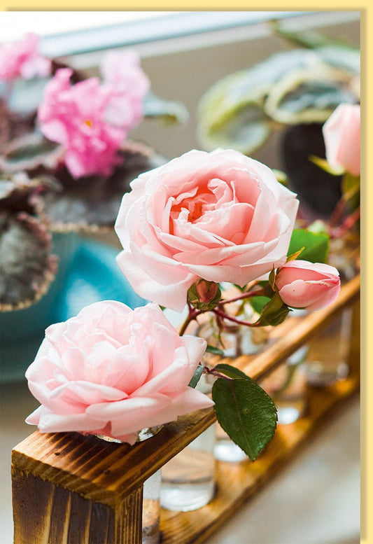 Blankokarte mit Romantischen Rosenmotiven, Zarte Rosa Pink Blumen für Frühlings - und Sommerdeko, Perfekt für Frauen und Mütter als Tischdekoration