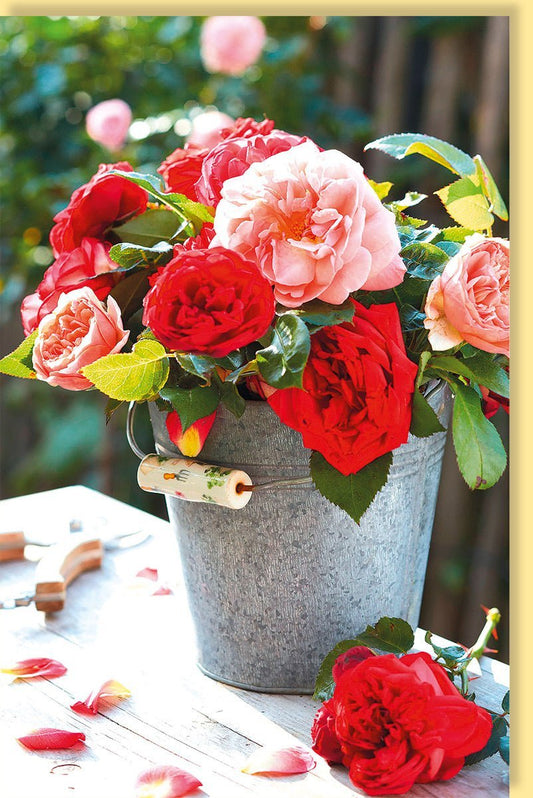 Blankokarte Romantischer Rosenstrauß im Zinkeimer, Naturmotiv in Rot, Rosa & Grün für Geburtstag, Muttertag, Valentinstag