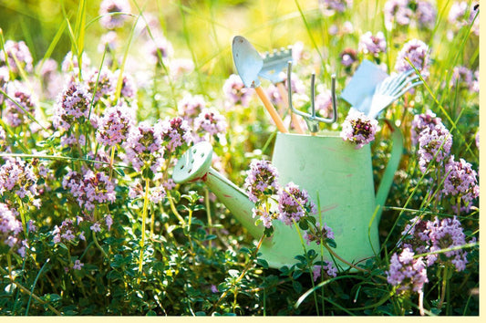 Blankokarte: Sommerliche Blumenwiese mit Gießkanne & Gartenwerkzeug - Natur Fotokarte
