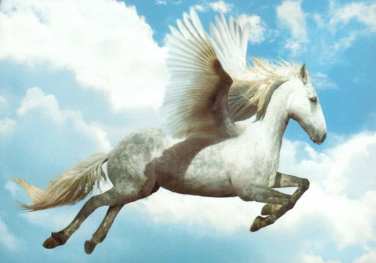 Blankopostkarte: Mystischer Pegasus in traumhafter Kulisse
