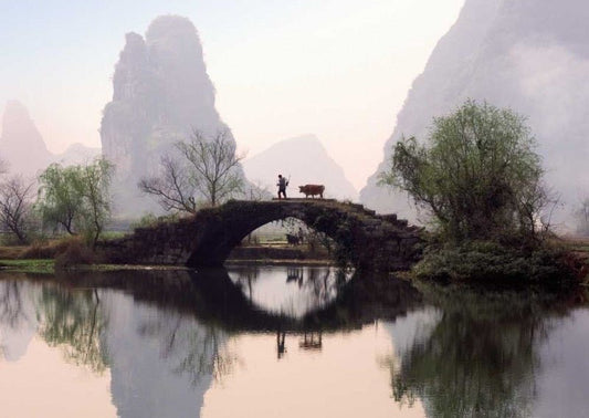 Blankopostkarte Naturmotiv Asien: Ox Herding, Crossing the Bridge