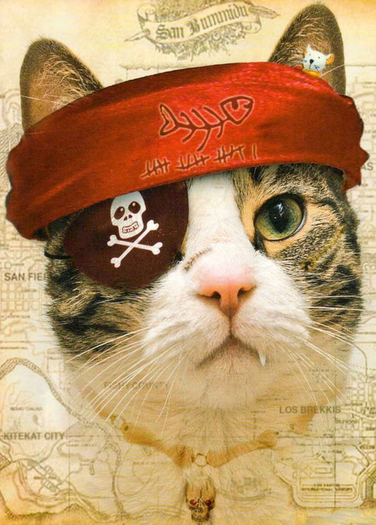 Blankopostkarte: Piratenkatze mit Augenklappe & Schatzkarte – Humorvolles Seeabenteuer