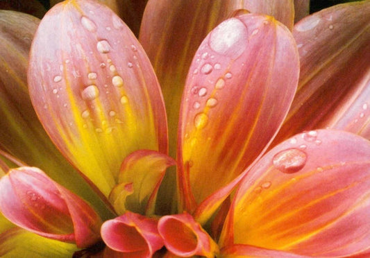 Blumen - Blankopostkarte: Elegante Dahlie für jeden Anlass