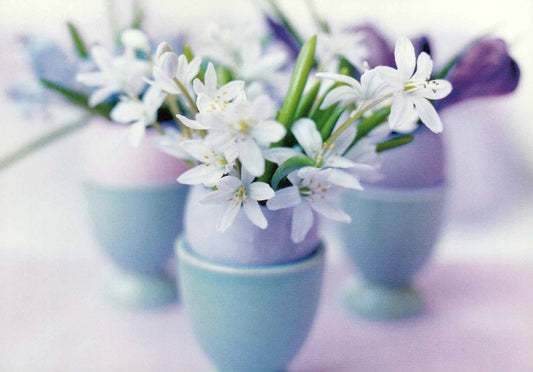 Blumen - Blankopostkarte: Johner Bildbyra – Perfekt für jeden Anlass