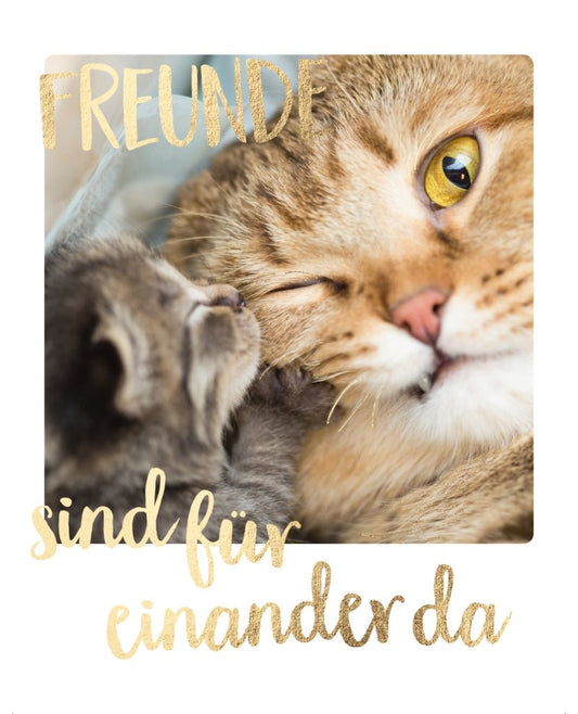 Freundschaftsgrußkarte mit Katzenmotiv: Kuschelnde Fellnasen für Tierliebhaber, Zuneigung und Liebe ausdrücken
