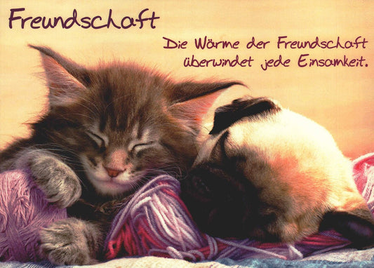 Freundschaftskarte mit Katze und Hund – liebevolle Postkarte Freundschaft, süße Tiere, herzliche Grüße für Freunde