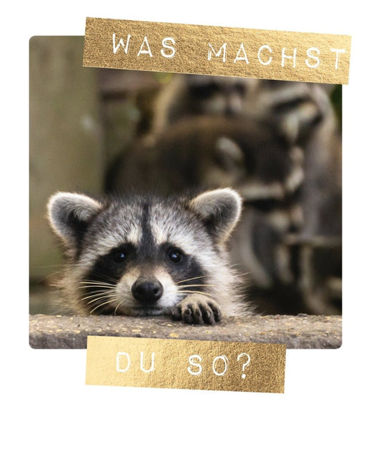 Freundschaftskarte mit Spruch: Was treibst du so?