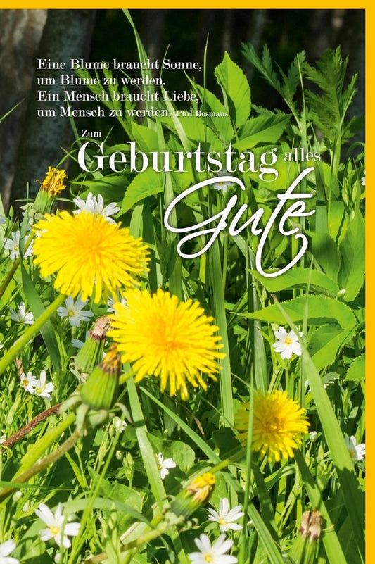 Geburtstagskarte – Blumenwiese & Löwenzahn, Frühlingshafte Grüße voller Poesie in Grün und Gelb für freudige Feiern
