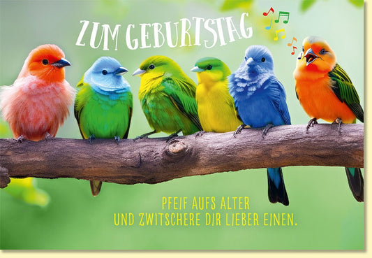 Geburtstagskarte bunte Vögel auf Ast fröhlich mit Spruch Pfeif aufs Alter und zwitschere dir lieber einen originelle Glückwunschkarte