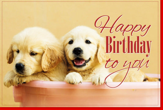 Geburtstagskarte - Charmante Welpen für Hundeliebhaber, Tiermotiv Glückwunschkarte Happy Birthday