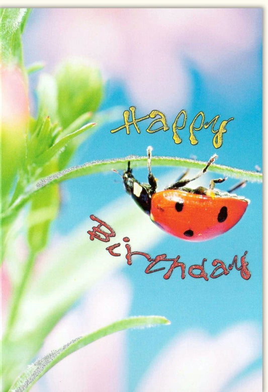 Geburtstagskarte - Farbenfrohe "Happy Birthday" Karte mit Marienkäfer - Design, Rot & Schwarz, Symbol für Glück und Freude
