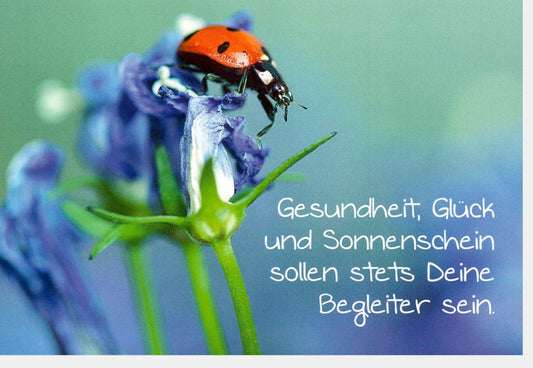 Geburtstagskarte für Gesundheit & Glück – Lebendige Karte mit Sonnenschein, Marienkäfer und Blumen – Naturdesign voller Freude