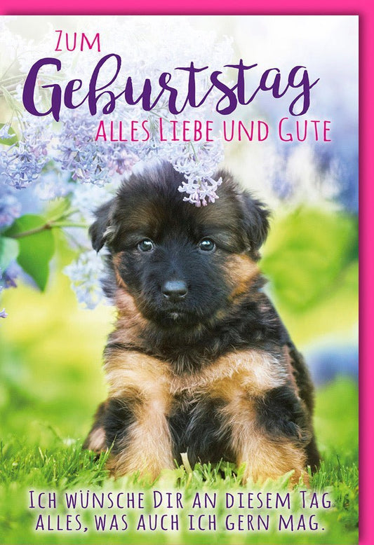 Geburtstagskarte für Hundeliebhaber: Charmante Welpen & Blumen, Lila Glückwunschkarte