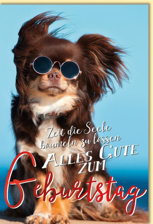 Geburtstagskarte Hund mit Sonnenbrille lustige Doppelkarte Alles Gute zum Geburtstag Zeit die Seele baumeln zu lassen originelle Glückwunschkarte