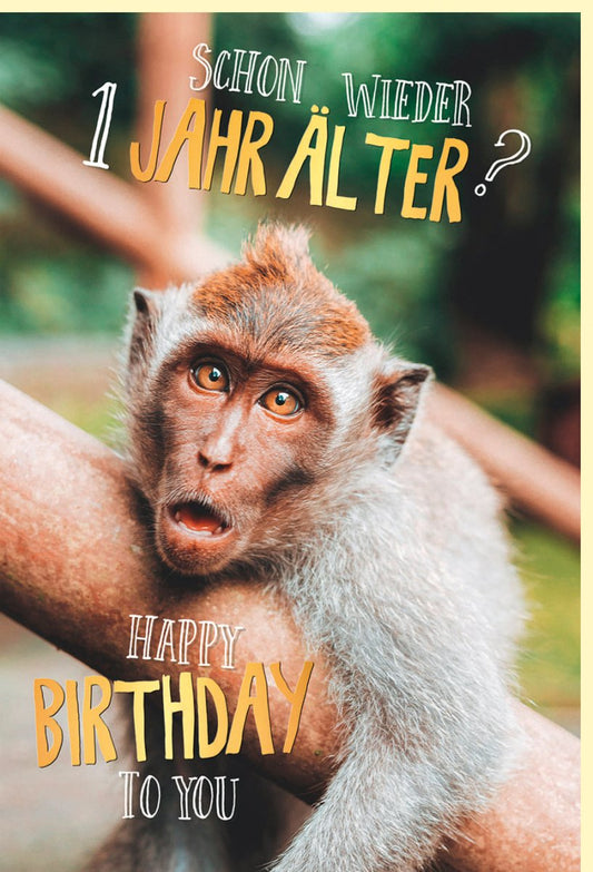 Geburtstagskarte lustig mit Affe und Spruch Schon wieder ein Jahr älter witzige Doppelkarte Happy Birthday humorvolle Glückwunschkarte