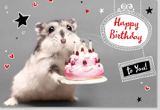 Geburtstagskarte lustig mit Hamster und Geburtstagskuchen süße Doppelkarte Happy Birthday Karte witzige Tiermotiv Grußkarte für Kinder und Erwachsene