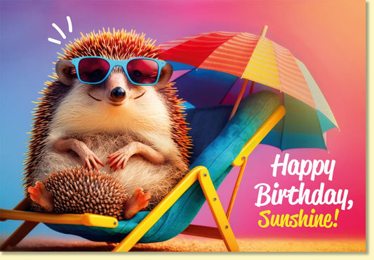 Geburtstagskarte lustig mit Igel im Liegestuhl und Sonnenbrille bunte Doppelkarte Happy Birthday Sunshine witzige Geburtstagsgrüße