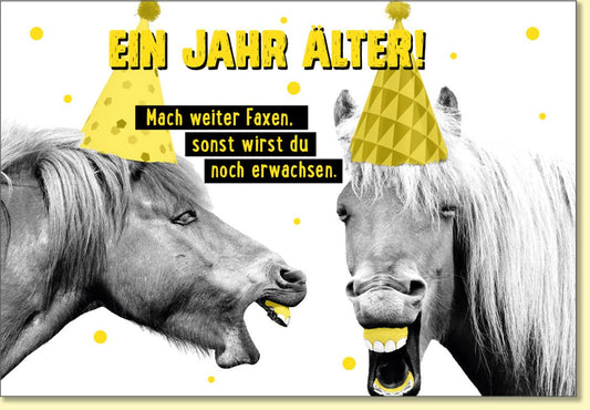 Geburtstagskarte lustig mit Pferden und Partyhüten witzige Doppelkarte für Humor Geburtstagsglückwünsche originelle Doppelkarte