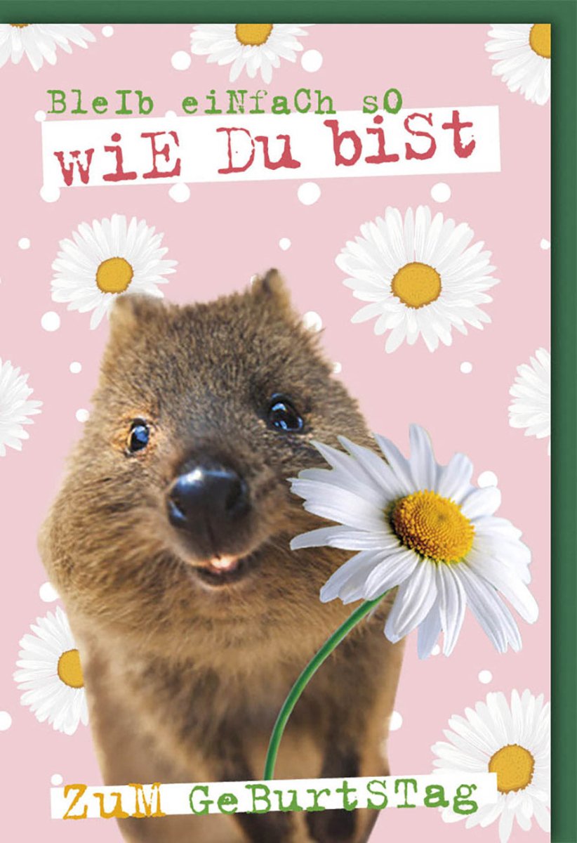 Geburtstagskarte lustig mit Quokka und Gänseblümchen auf rosa Hintergrund Bleib einfach so wie du bist zum Geburtstag
