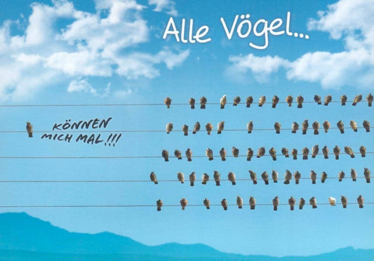 Geburtstagskarte Lustig - Vögel auf Leitung mit Spruch, Humorvolles Design, Satirisches Spaßgeschenk für Freunde