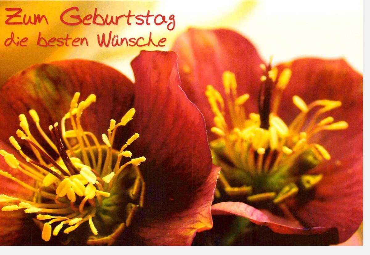 Geburtstagskarte mit Blumengruß: Stilvolles Design und herzliche Wünsche für den besonderen Tag