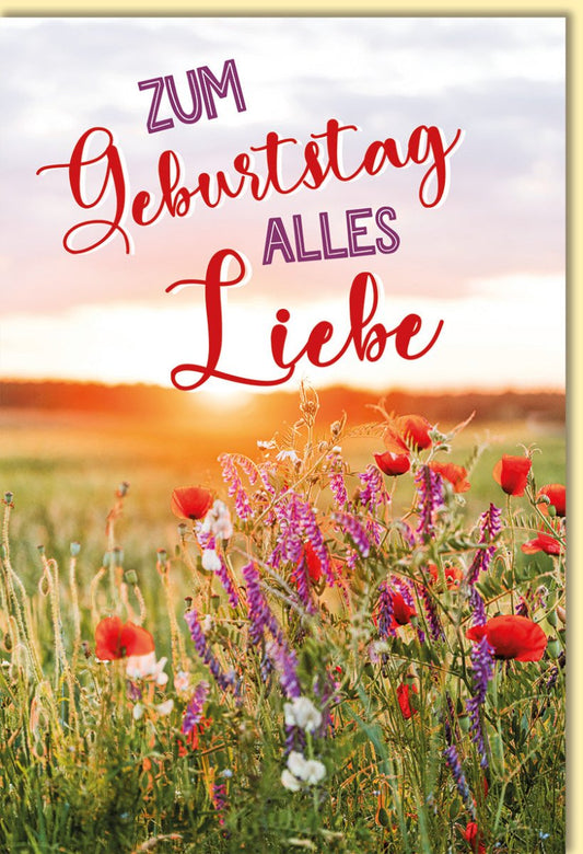 Geburtstagskarte mit Blumenwiese und Sonnenuntergang liebevolle Glückwunschkarte zum Geburtstag farbenfrohes Design für persönliche Grüße