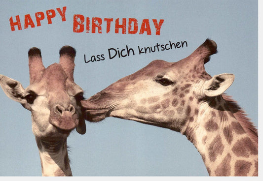 Geburtstagskarte mit Giraffen - Motiv - Humorvolle Glückwünsche, "Happy Birthday & Knutschen", Originelles Design für Freude und Partyspaß