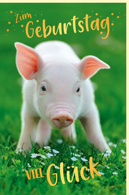 Geburtstagskarte mit Goldfolien - Schwein – Fröhliche grüne Glückwunschkarte für Kinder & Erwachsene, Naturmotiv, Partyspaß & Überraschungseffekt
