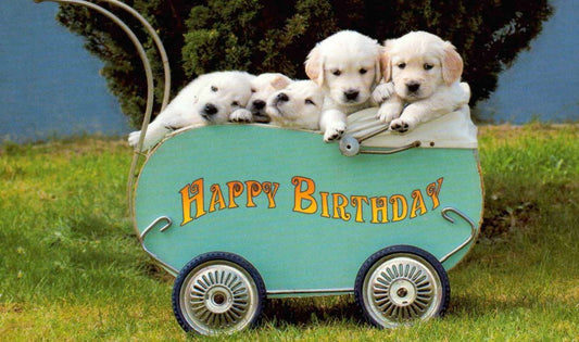 Geburtstagskarte mit Hundewelpen im Bollerwagen: Fröhliche Grüße für Tierliebhaber