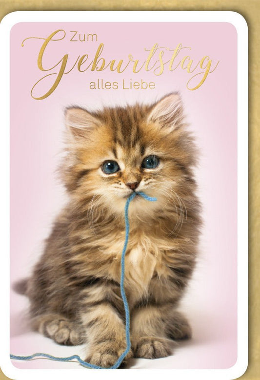 Geburtstagskarte mit Kätzchen - Motiv: Herzliche Katzen - Gratulation für Tierliebhaber