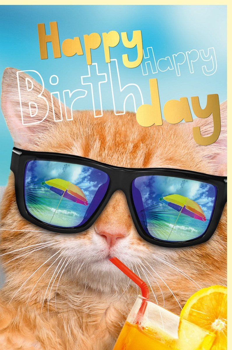 Geburtstagskarte mit Katze am Strand - Bunte Glückwünsche für Tierliebhaber & Sommerfans - Lustiges Katzenmotiv in Orange, Blau & Gelb
