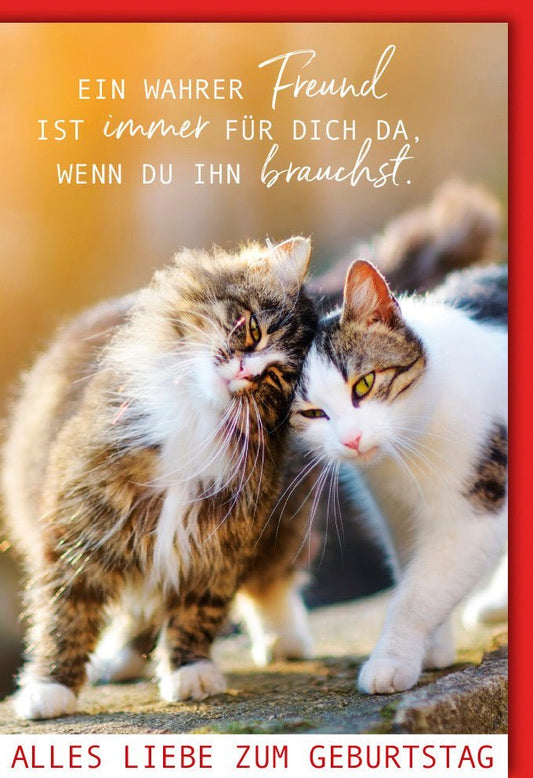 Geburtstagskarte mit Katzenmotiv – Herzliche Grüße voller Wärme und Zusammenhalt, Perfekt als festliche Gratulation zur Feier der Freude