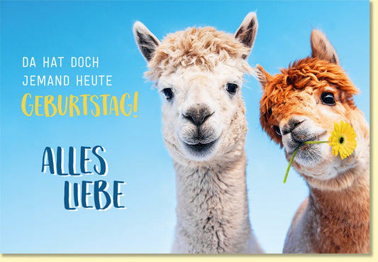 Geburtstagskarte mit lustigen Alpakas und gelber Blume fröhliche Glückwunschkarte zum Geburtstag für Freunde und Familie