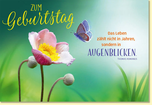 Geburtstagskarte mit Mohnblume und Schmetterling inspirierender Spruch farbenfrohe Glückwunschkarte zum Geburtstag