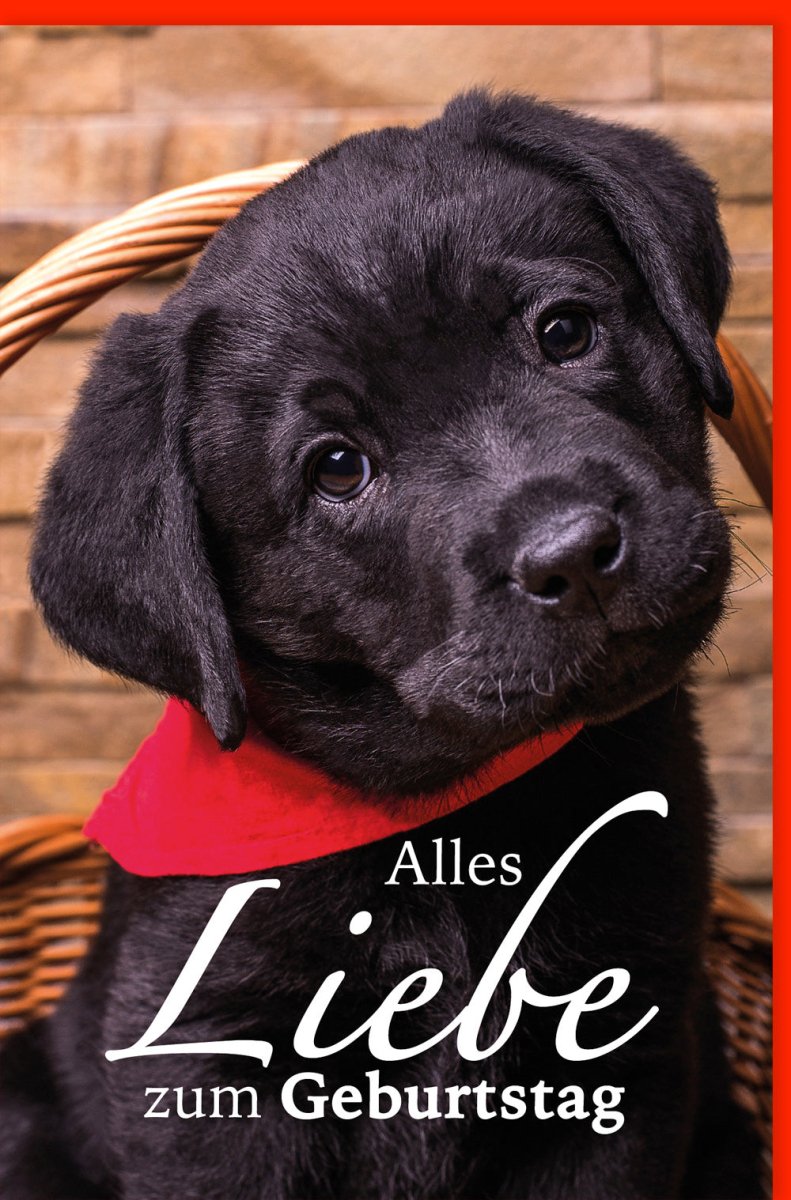 Geburtstagskarte mit niedlichem Welpen: Perfekte Glückwünsche für Tierfreunde, liebevolle Gratulation und festliche Freude
