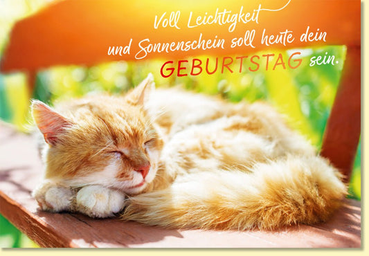 Geburtstagskarte mit schlafender Katze auf Holzbank im Sonnenschein liebevoller Spruch Glückwunschkarte zum Geburtstag