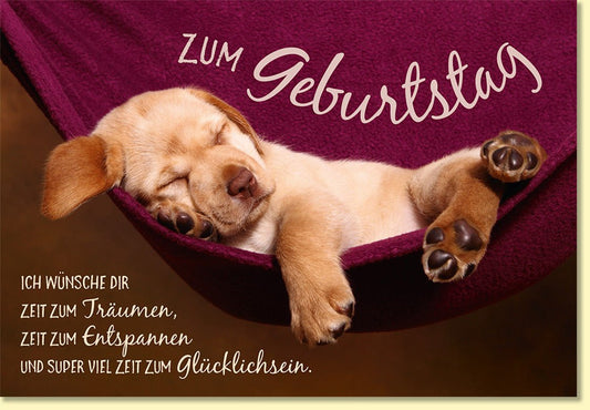 Geburtstagskarte mit süßem schlafenden Hund in Hängematte und liebevollem Spruch für entspannte Glückwünsche zum Geburtstag