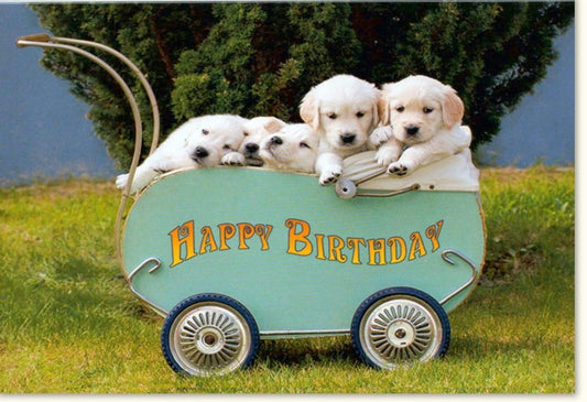 Geburtstagskarte mit Welpen im Bollerwagen - Charmante weiße Karte für Hundeliebhaber
