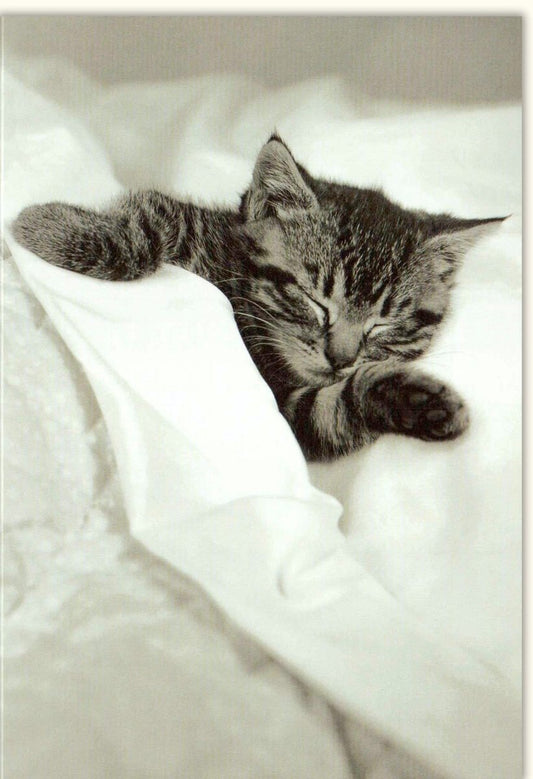 Geburtstagskarte ohne Text mit Schlafenden Kätzchen – Niedliche Schwarz - Weiß Blankokarte, Tierbaby Ruhe & Sanft, Liebevolle Zärtlichkeit