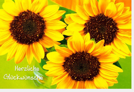 Geburtstagskarte Sonnenblume - Freundlicher Blumengruß in Gelb, Sommerliches Naturmotiv für Frohsinn & Freude, Glückwunschkarten allgemein