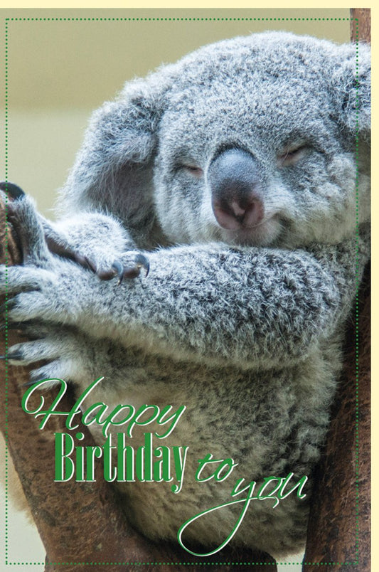 Geburtstagskarte süßer Koala Happy Birthday to you liebevolle Glückwunschkarte zum Geburtstag für Tierfreunde hochwertige Doppelkarte