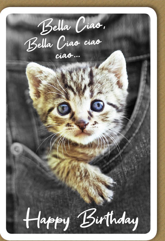Geburtstagskarte süßes Katzenmotiv Bella Ciao lustige Doppelkarte mit Kätzchen im Jeanshemd originelle Glückwunschkarte Geburtstag