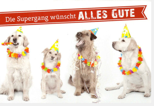 Geburtstagskarte Tiere Supergang: Fröhliche Hunde mit Partyhüten, Tierische Geburtstagsgrüße - Happy Birthday Karten mit Hundemotiven